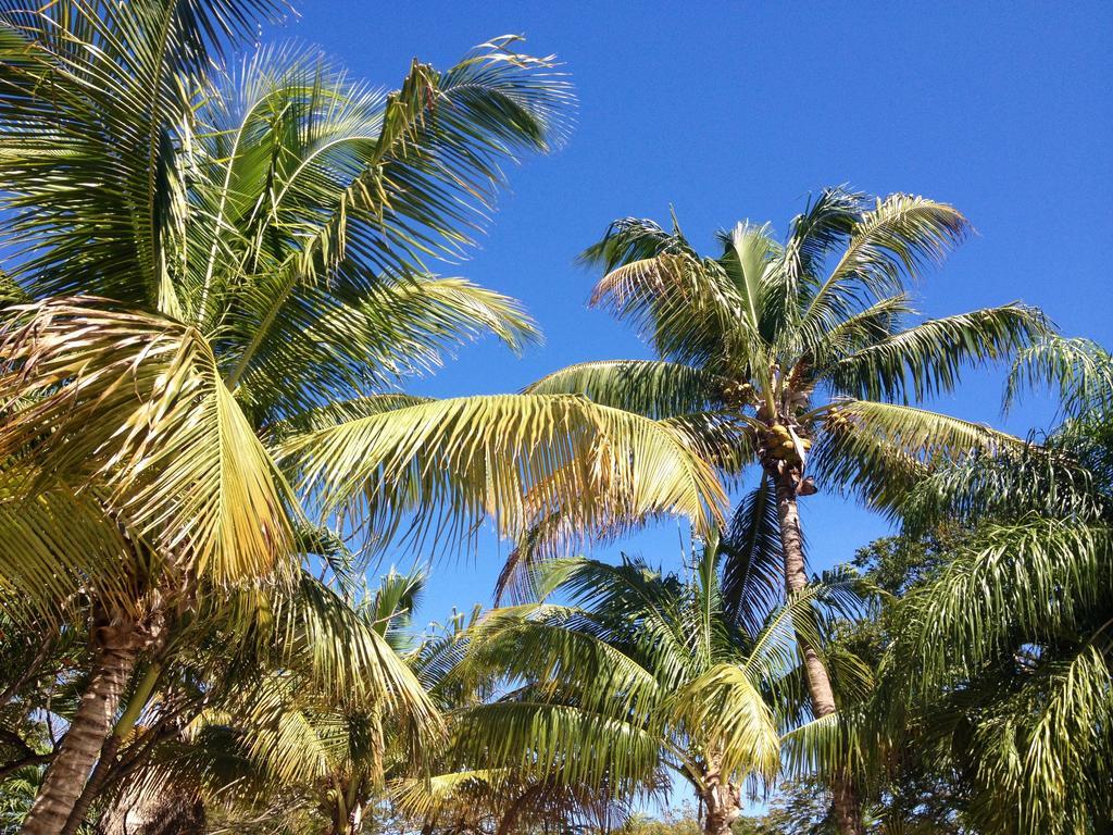 The Pelican Key Largo Cottages 외부 사진