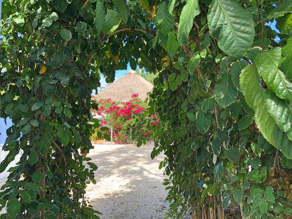 The Pelican Key Largo Cottages 외부 사진